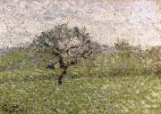 Camille Pissarro Apple France oil painting artist